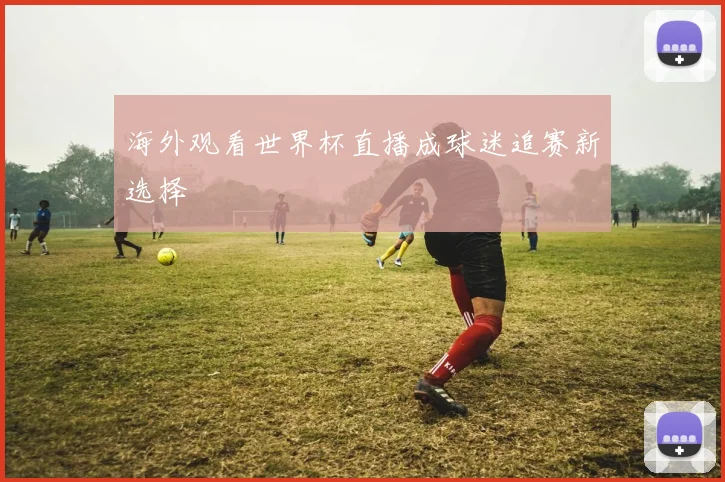 海外观看世界杯直播成球迷追赛新选择