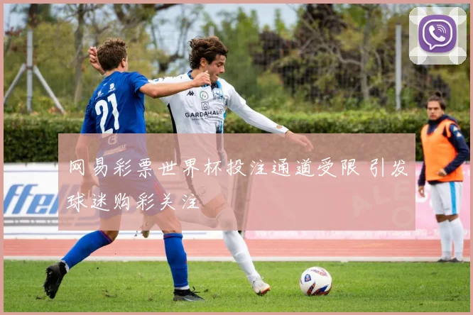 网易彩票世界杯投注通道受限 引发球迷购彩关注
