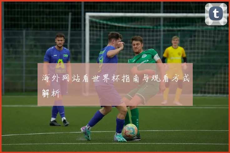 海外网站看世界杯指南与观看方式解析